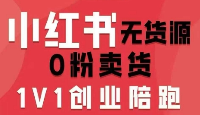 小红书无货源0粉电商课，开店准备、选品策略、笔记撰写、视频剪辑、数据分析、账号打造、资料文档-资源大汇总