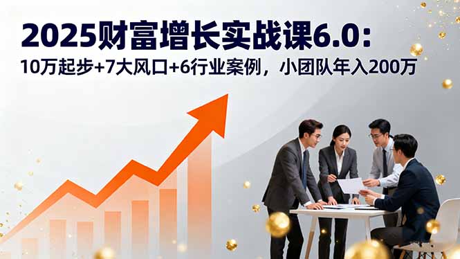 2025财富增长实战课6.0：10万起步+7大风口+6行业案例，小团队年入200万-资源大汇总