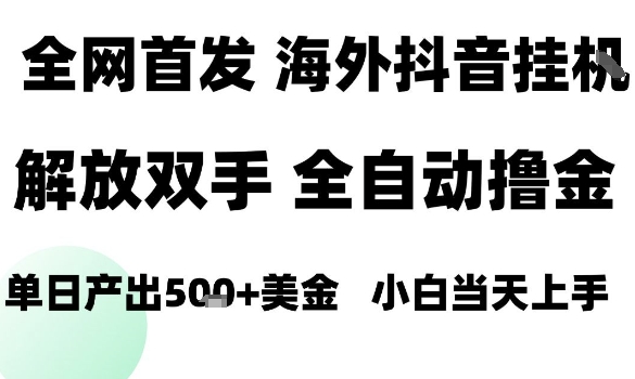 海外抖音无人直播，单日产出1.5k+，长期稳定，新手可玩，无脑操作【揭秘】-资源大汇总