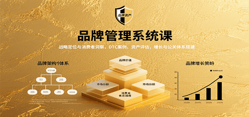 品牌管理系统课：战略定位与消费者洞察，DTC案例、资产评估，增长与公关体系搭建-资源大汇总