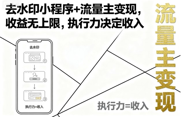去水印小程序+流量主变现，收益无上限，执行力决定收入-资源大汇总