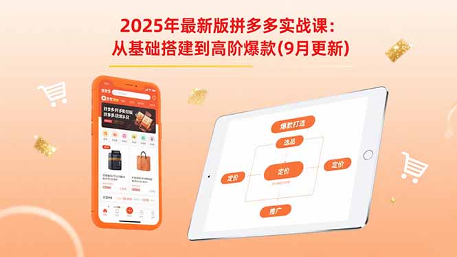 2025年最新版拼多多实战课：从基础搭建到高阶爆款(9月更新-资源大汇总
