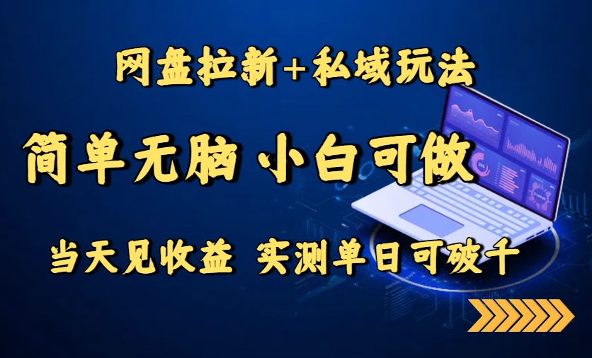 网盘拉新+私域玩法，简单无脑，小白可做，当天见收益，实测单日可破千-资源大汇总