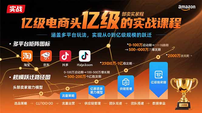 亿级电商头部卖家的实战课程：涵盖多平台玩法，实现从0到亿级规模的跃迁-资源大汇总