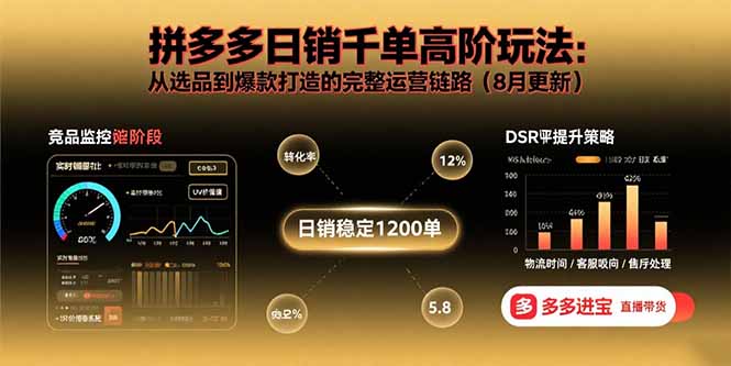 拼多多日销千单高阶玩法：从选品到爆款打造的完整运营链路(8月更新-资源大汇总