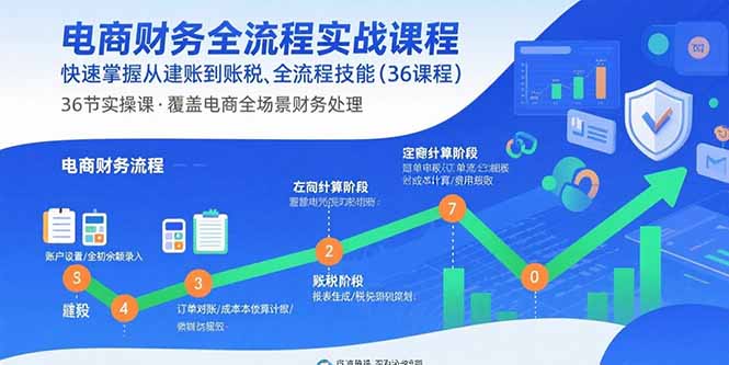 电商财务全流程实战课程：快速掌握从建账到报税的全流程技能(36节课-资源大汇总