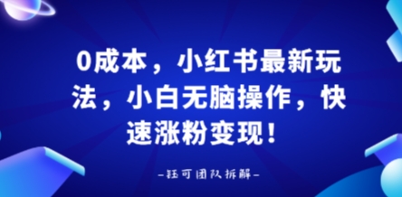0成本，小红书最新玩法，小白无脑操作，快速涨粉变现-资源大汇总