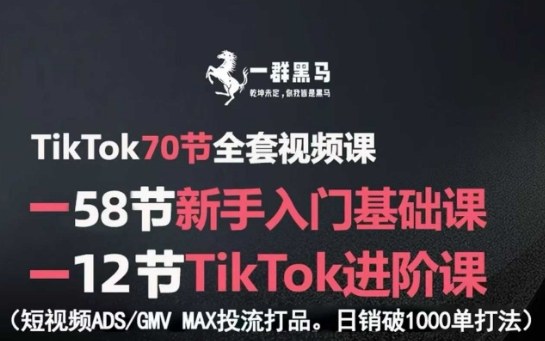 TikTok全套视频课，新手入门+进阶课，短视频ADS-GMV MAX投流打品，日销破1000单打法-资源大汇总