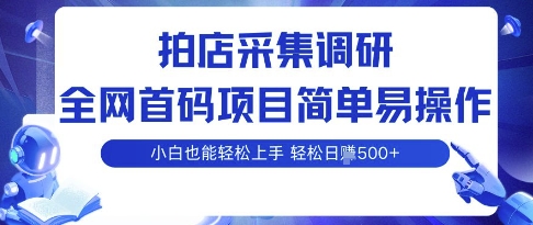 拍店采集调研，全网首码项目，简单易操作， 小白也能轻松上手，多账号操作，轻松日入5张【揭秘】-资源大汇总