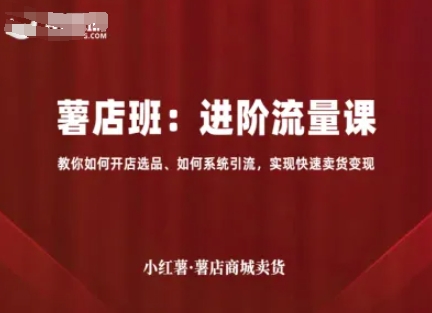 小红薯薯店商城卖货，进阶流量课，教你如何开店选品、如何系统引流，实现快速卖货变现-资源大汇总
