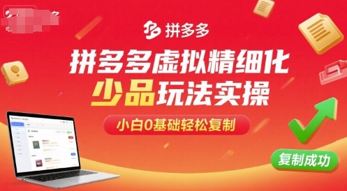 拼多多虚拟精细化少品玩法实操，小白0基础轻松复制-资源大汇总