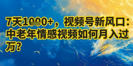 7天收益1k+，视频号新风口：中老年情感视频如何月入过W?-资源大汇总