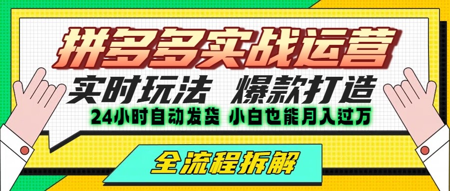 拼多多最新实战运营高投产：长久稳定项目，单店利润一天三位数-资源大汇总