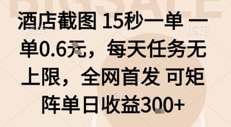 酒店截图15秒一单，一单0.6米，每天任务无上限，全网首发可矩阵单日收益3张【揭秘】-资源大汇总