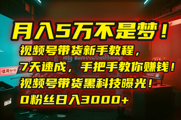 月入5万不是梦！视频号带货新手教程，7天速成，手把手教你赚钱！视频号…-资源大汇总