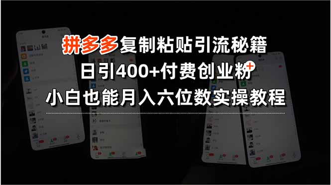 拼多多复制粘贴引流秘籍，日引400+付费创业粉，小白也能月入六位数实操…-资源大汇总