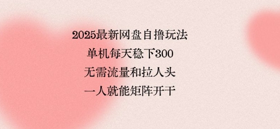 2025最新网盘自撸玩法，单机每天稳下3张，无需流量和拉人头，一个人就可轻松矩阵，全网独一份【揭秘】-资源大汇总