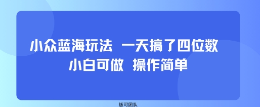 小众蓝海玩法 一天搞了四位数 小白可做 操作简单-资源大汇总