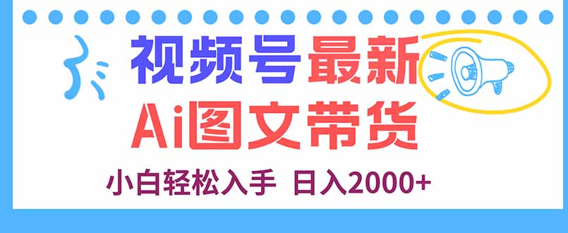 视频号最新AI图文带货，每天几分钟，小白轻松入手，日入2000+-资源大汇总