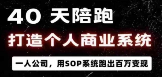 40天陪跑打造个人商业系统，一人公司，用SOP系统跑出百W变现-资源大汇总