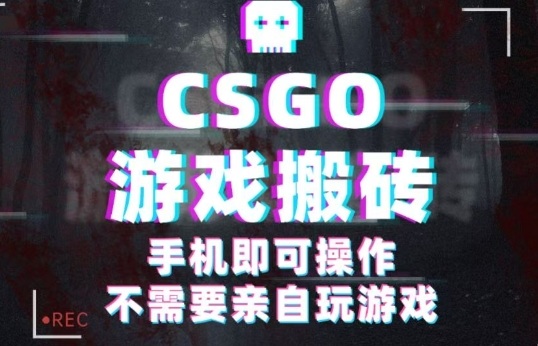 CSGO游戏挂G捡漏，单日扫货5张+，年底小高峰上车可吃肉，手机即可操作，兼职副业创业网创【揭秘】-资源大汇总