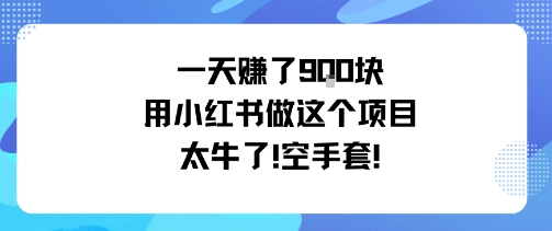 一天挣了9张用小红书做这个项目太牛了，空手套-资源大汇总