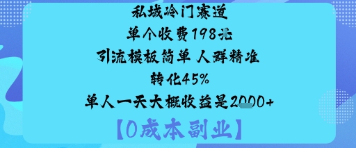 私域冷门赛道:单个收费198米引流模板简单人群精准转化45%单人一天大概收益是1k+-资源大汇总