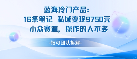 蓝海项目：16条笔记私域变现9750米小众赛道操作的人不多-资源大汇总