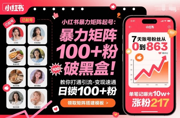 小红书暴力矩阵起号，教你打通引流-变现速通，日锁100+粉，破流量黑盒-资源大汇总