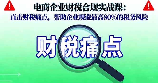 电商企业财税合规实战课，直击财税痛点，帮助企业规避最高80%的税务风险-资源大汇总