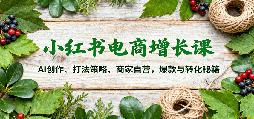 小红书电商增长课：AI创作、打法策略、商家自营，爆款与转化秘籍-资源大汇总