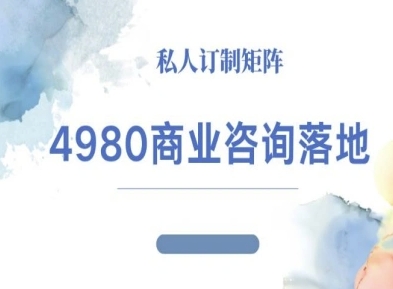 4980商业咨询师落地课程-ip运营高客单教程-资源大汇总