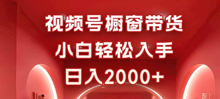 视频号橱窗带货，小白轻松入手，日入2000+-资源大汇总