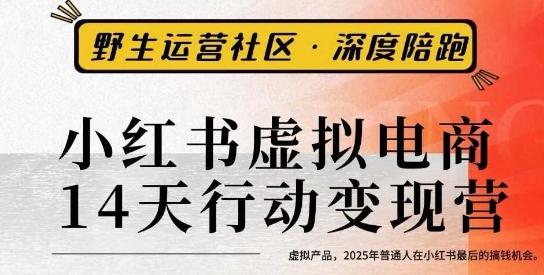 小红书虚拟电商14天变现训练营3.0，​虚拟产品，2025年普通人在小红书最后的搞钱机会-资源大汇总