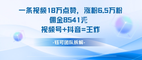 一条视频18W点赞，涨粉6.5W粉佣金8541米，视频号+抖音=王炸-资源大汇总