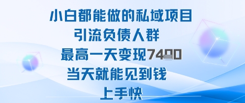 2025年小白都能做的私域项目引流负债人群最高一天变现1k+高变现难度低当天就能见到钱上手快-资源大汇总
