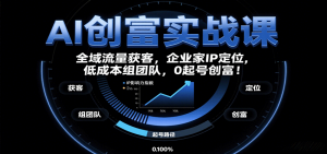 AI创富实战课：企业家IP定位，全域流量获客，低成本组团队，0起号创富！-资源大汇总