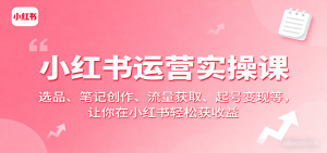 小红书运营实操课:选品、笔记创作、流量获取、起号变现等,让你在小红书轻松获收益-资源大汇总