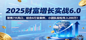 2025财富增长实战6.0,聚焦7大风口,结合6行业案例,小团队轻松年入200万!-资源大汇总