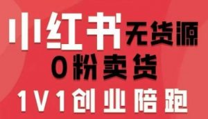 小红书无货源0粉电商课,开店准备、选品策略、笔记撰写、视频剪辑、数据分析、账号打造、资料文档-资源大汇总