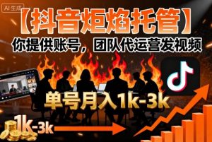【抖音炬焰托管】你提供账号,团队代运营发视频,单号月入1k+【揭秘】-资源大汇总