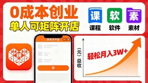 拼多多虚拟电商,0成本,单人可矩阵开店,轻松月入3W+-资源大汇总