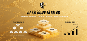 品牌管理系统课:战略定位与消费者洞察,DTC案例、资产评估,增长与公关体系搭建-资源大汇总