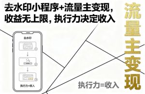 去水印小程序+流量主变现,收益无上限,执行力决定收入-资源大汇总