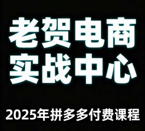 老贺电商2025年拼多多付费课程，用通俗易懂的方法告诉你多多怎么玩-资源大汇总