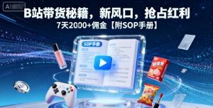 B站带货秘籍,新风口,抢占红利,7天2k+佣金【附SOP手册】-资源大汇总