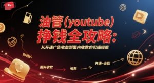 油管(youtube)挣钱全攻略:从开通广告收益到国内收款的实操指南(更新)-资源大汇总