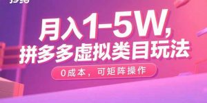 月入1-5W，拼多多虚拟类目玩法，0成本，可矩阵操作-资源大汇总