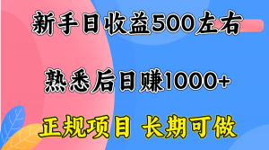 一台电脑,前期日收益300-500,熟练后日入1000左右-资源大汇总