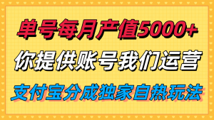 单月产值5000+，支付宝分成代运营，你提供账号坐等分钱，我们帮你运营-资源大汇总
